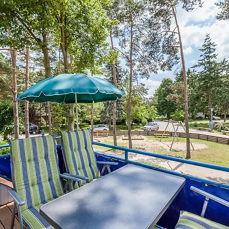 Papillon 18-5 * Больтенхаген